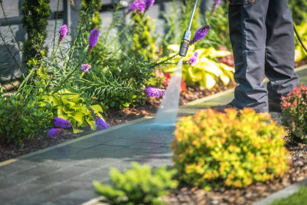 Best Restaurant Pressure Washing  in East Niles, CA