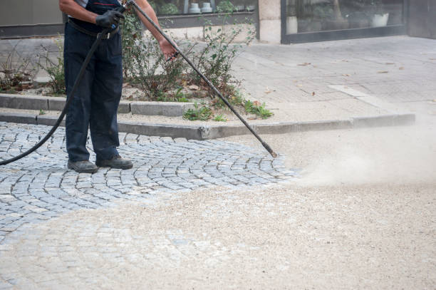 Animal Enclosure Cleaning in East Niles, CA